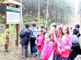 Sprzątanie Świata 2014 - podsumowanie (48)